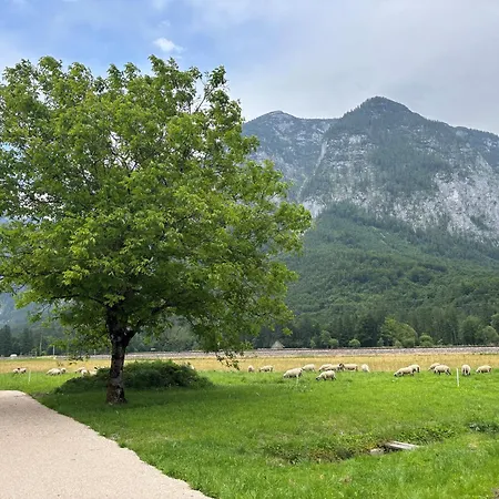 Apartmán Haischberger *