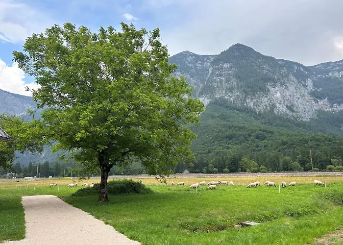 Daire Haischberger *